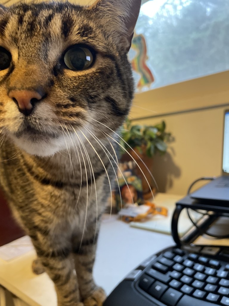 Valkyrie doing office work