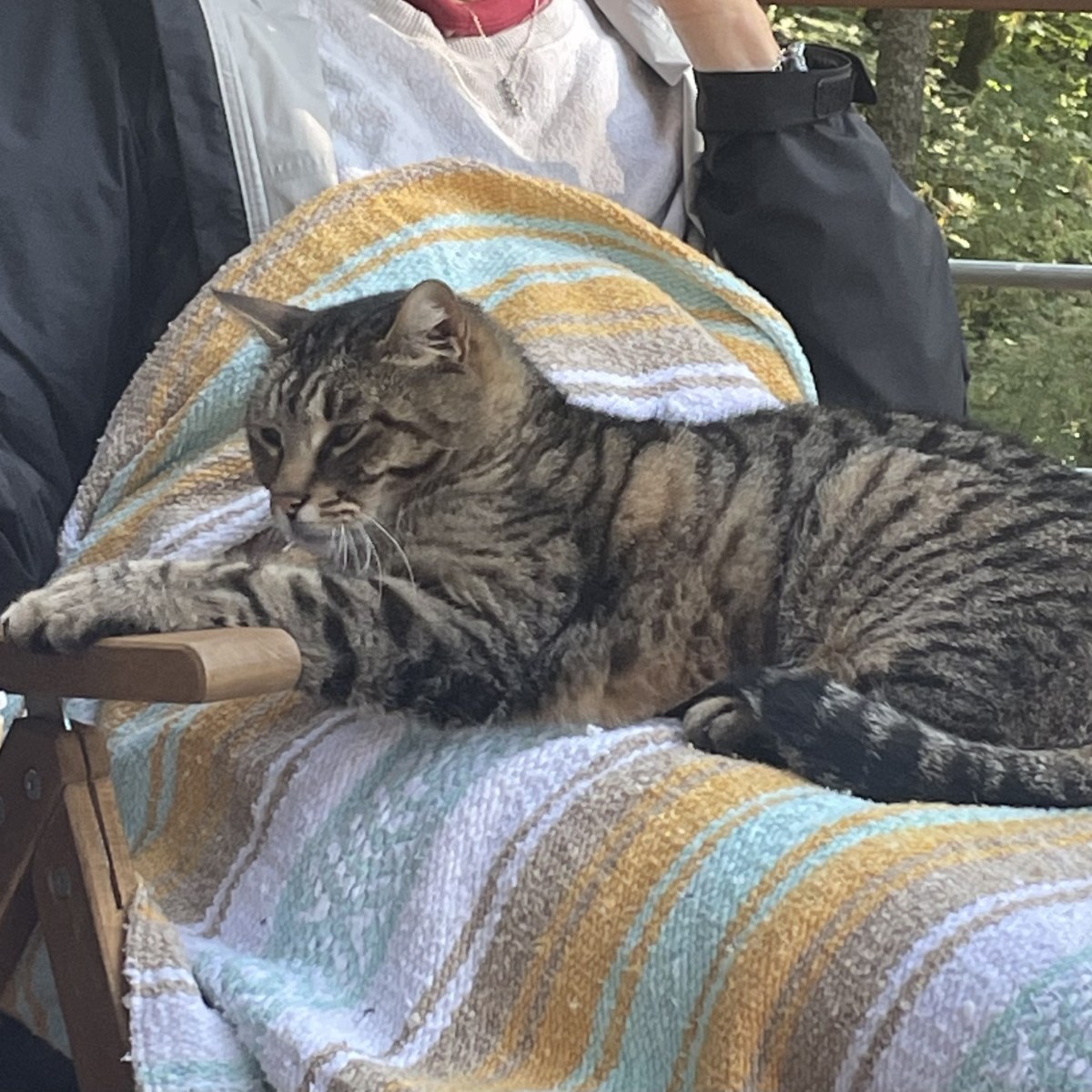 valkyrie – hostess&nbsp;supreme