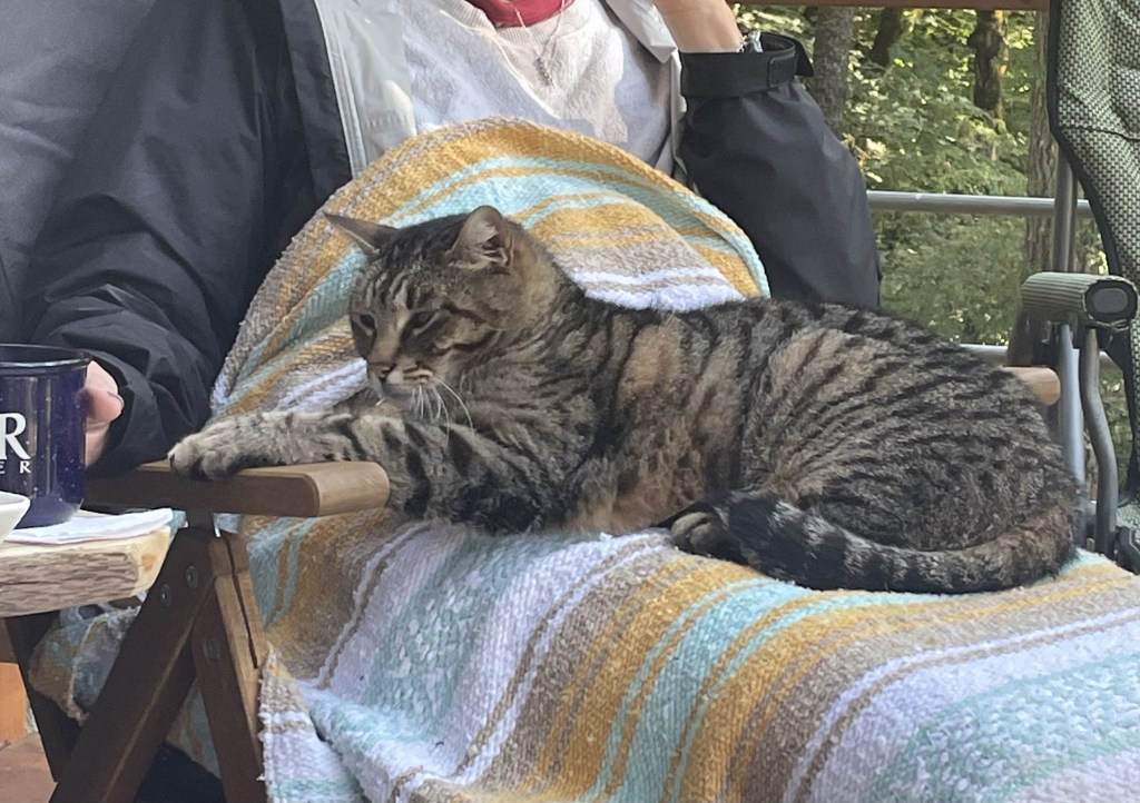 Valkyrie - hostess of the treehouse cabin